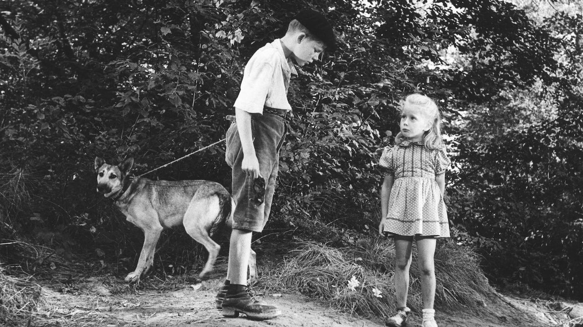 Foto do filme Brinquedo Proibido