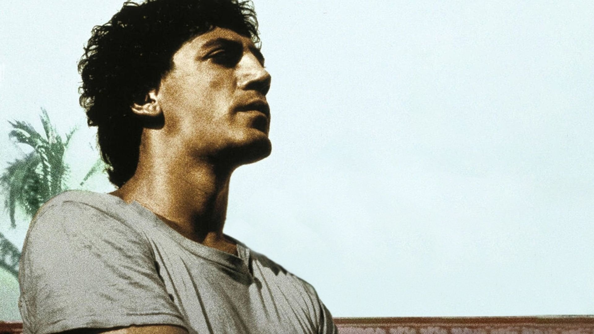 Foto do filme Antes do Anoitecer