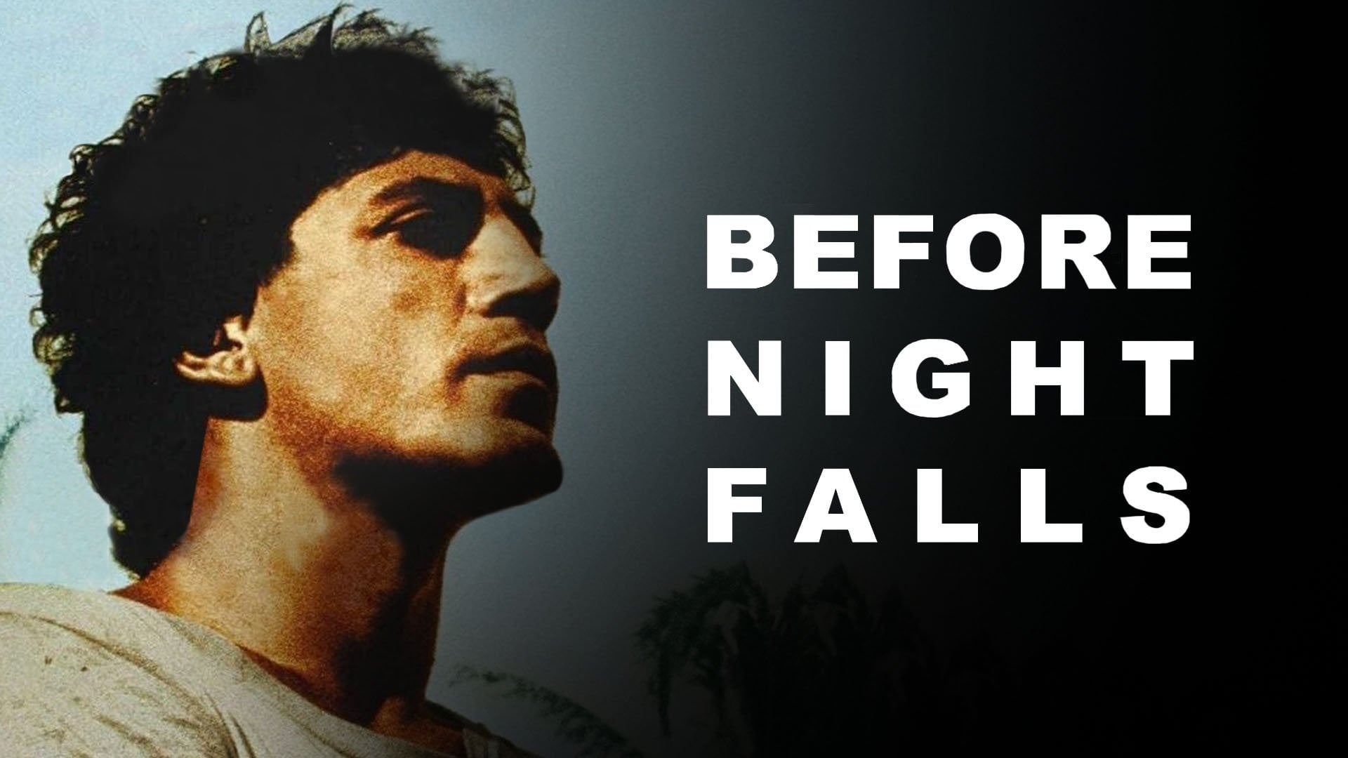 Foto do filme Antes do Anoitecer