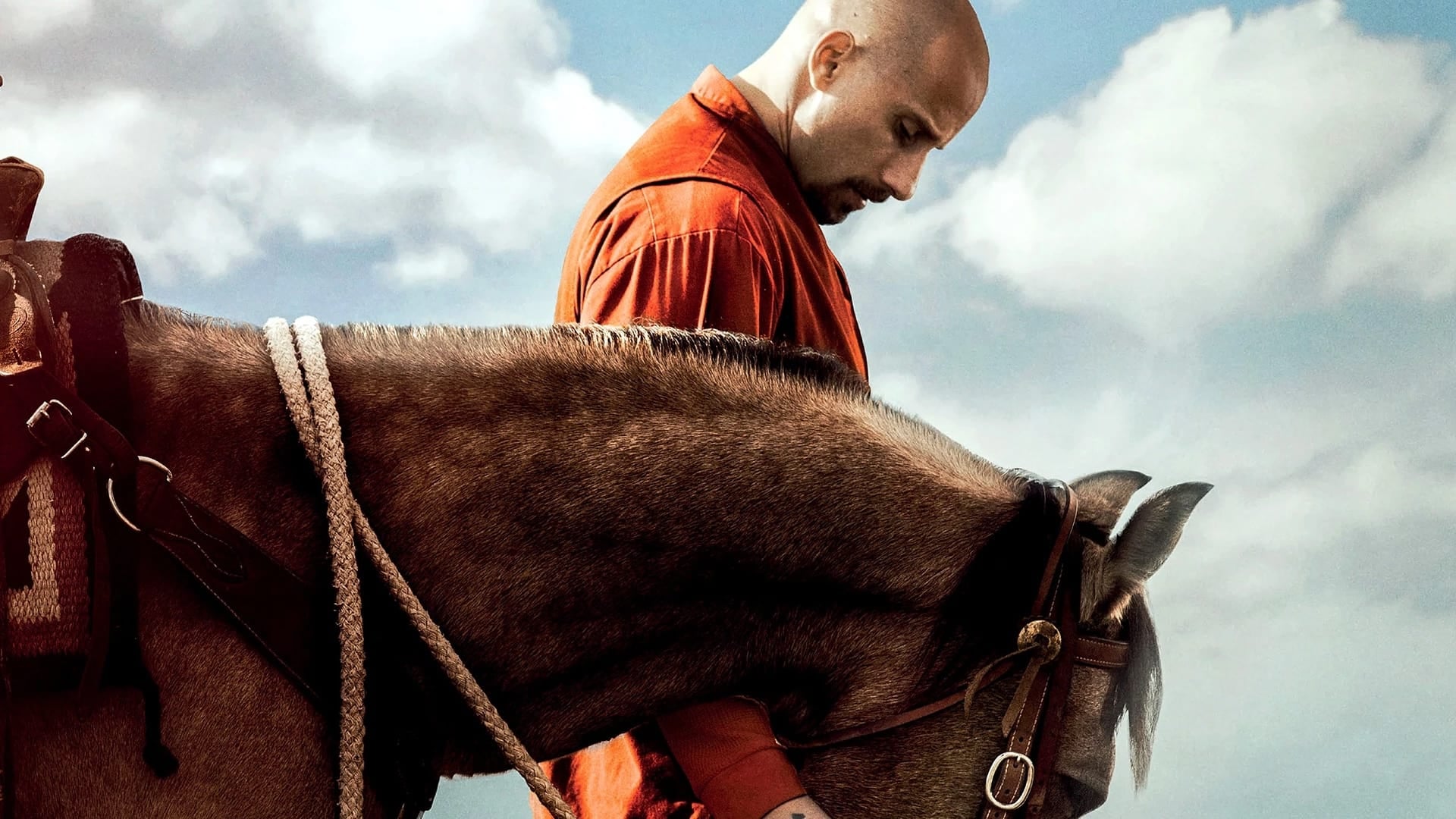 Foto do filme Rédeas da Redenção