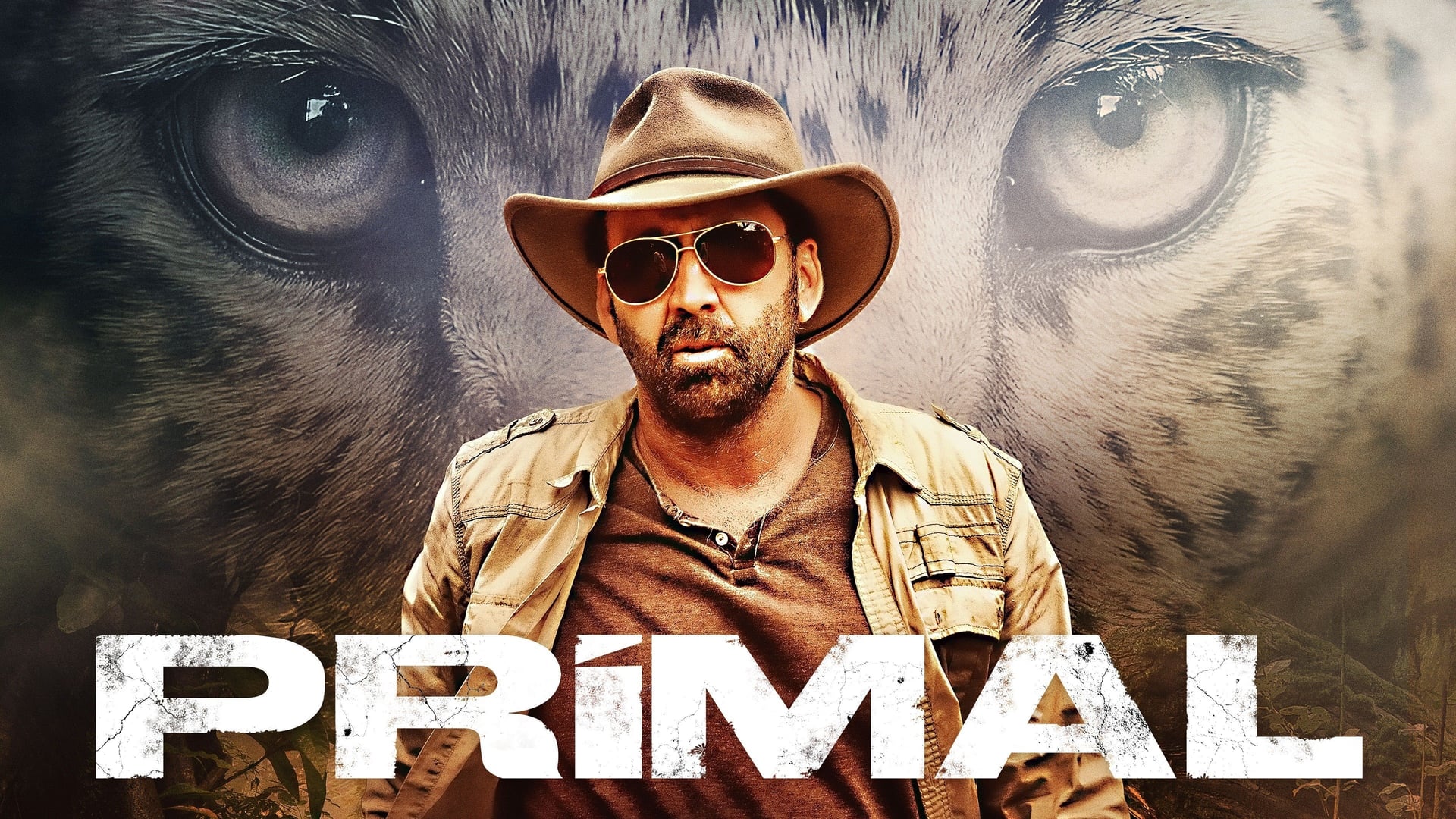 Foto do filme Instinto Predador