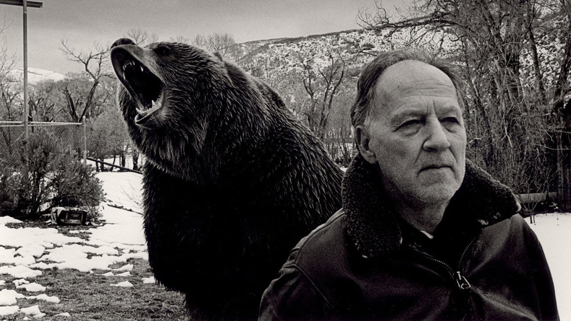 Foto do filme O Homem-Urso