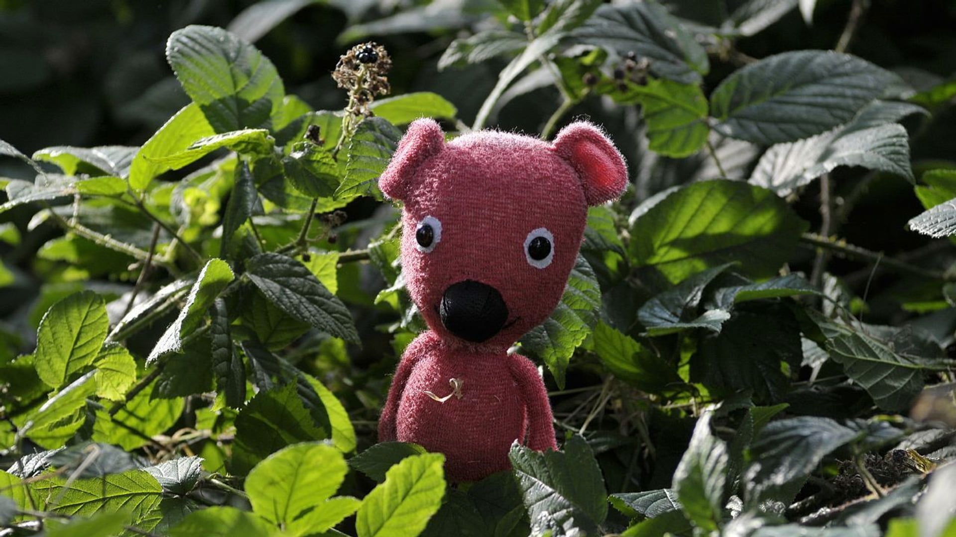 Foto do filme Kuky se vrací