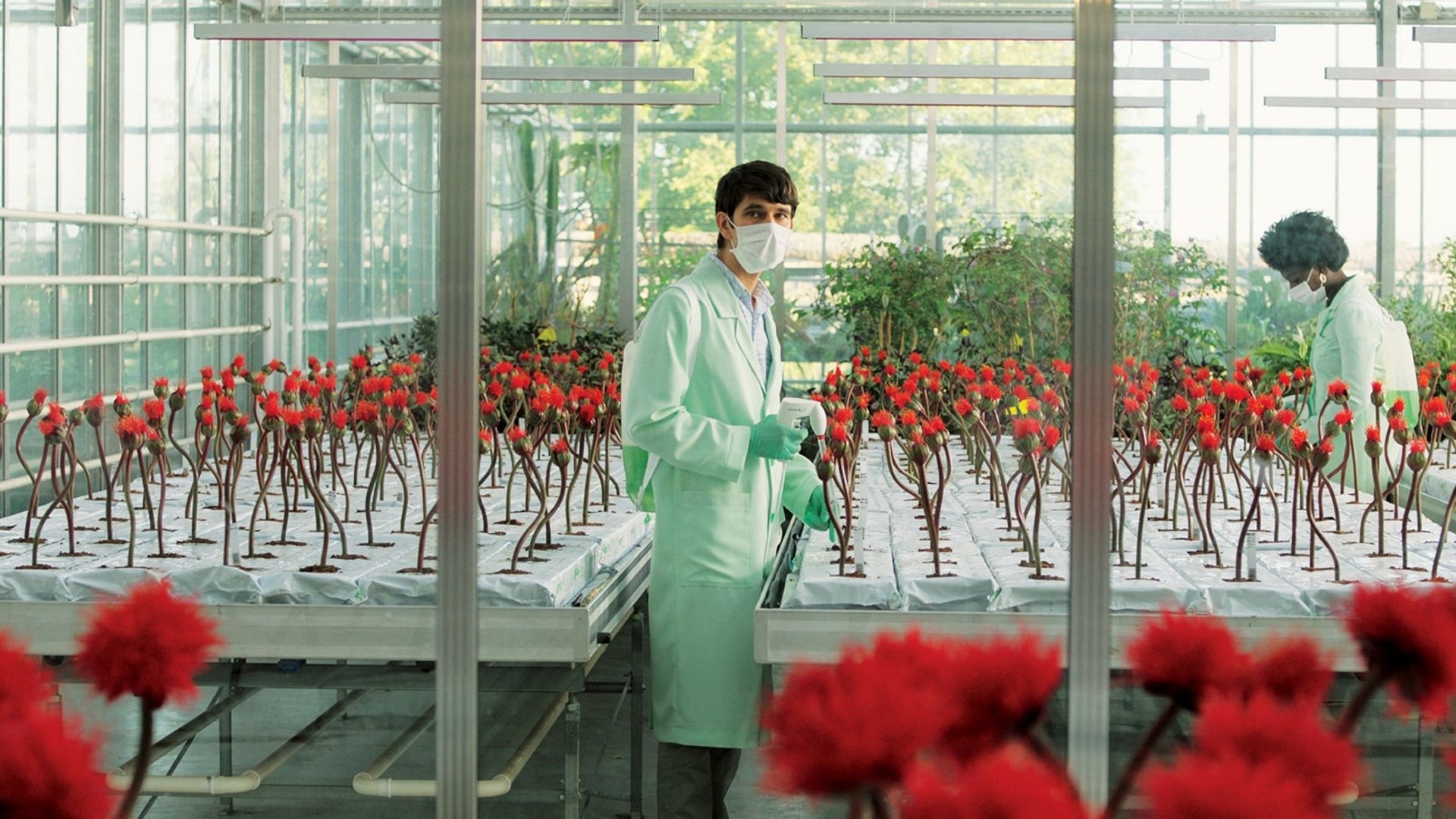 Foto do filme Little Joe