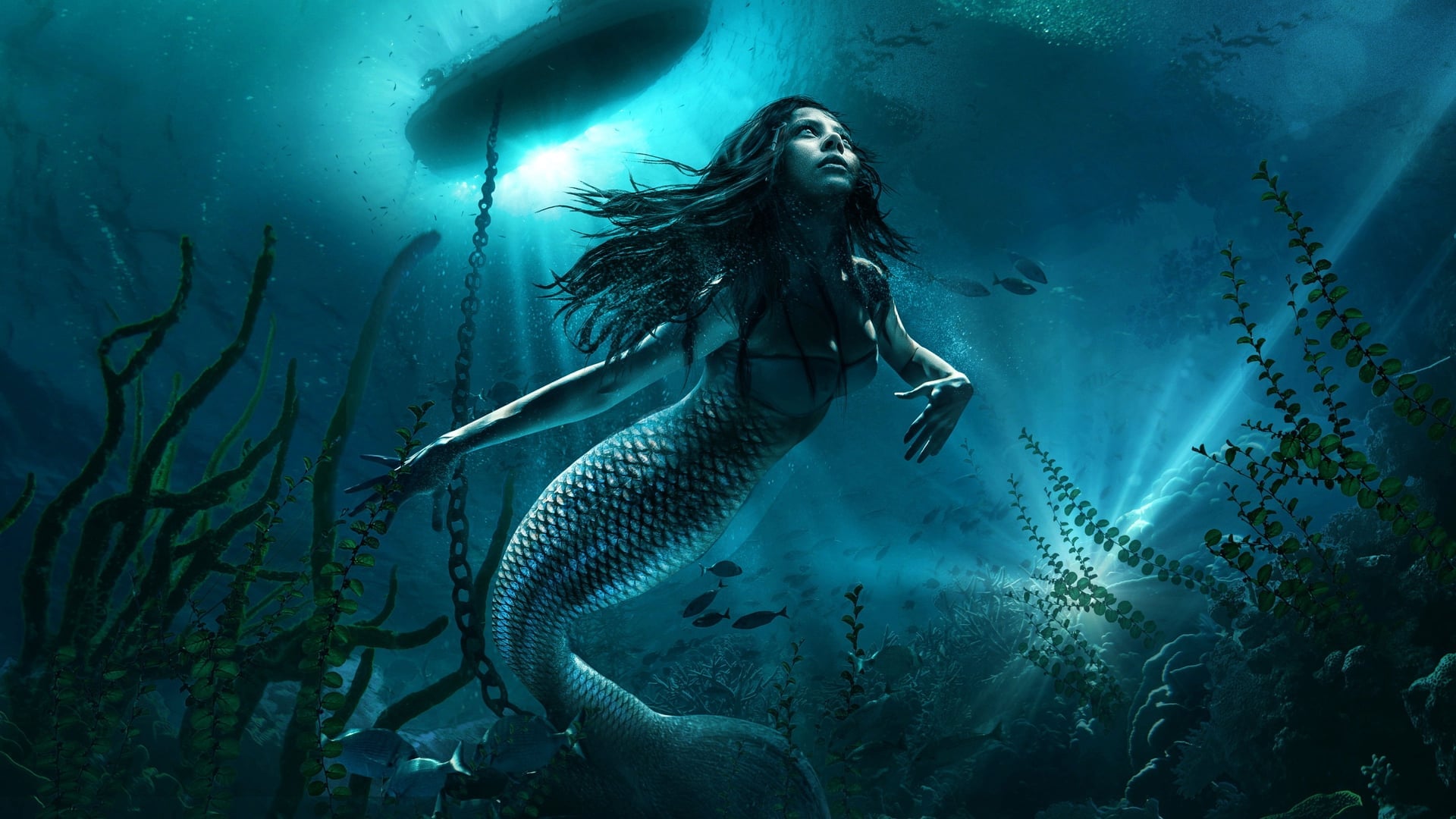 Foto do filme A Maldição da Sereia