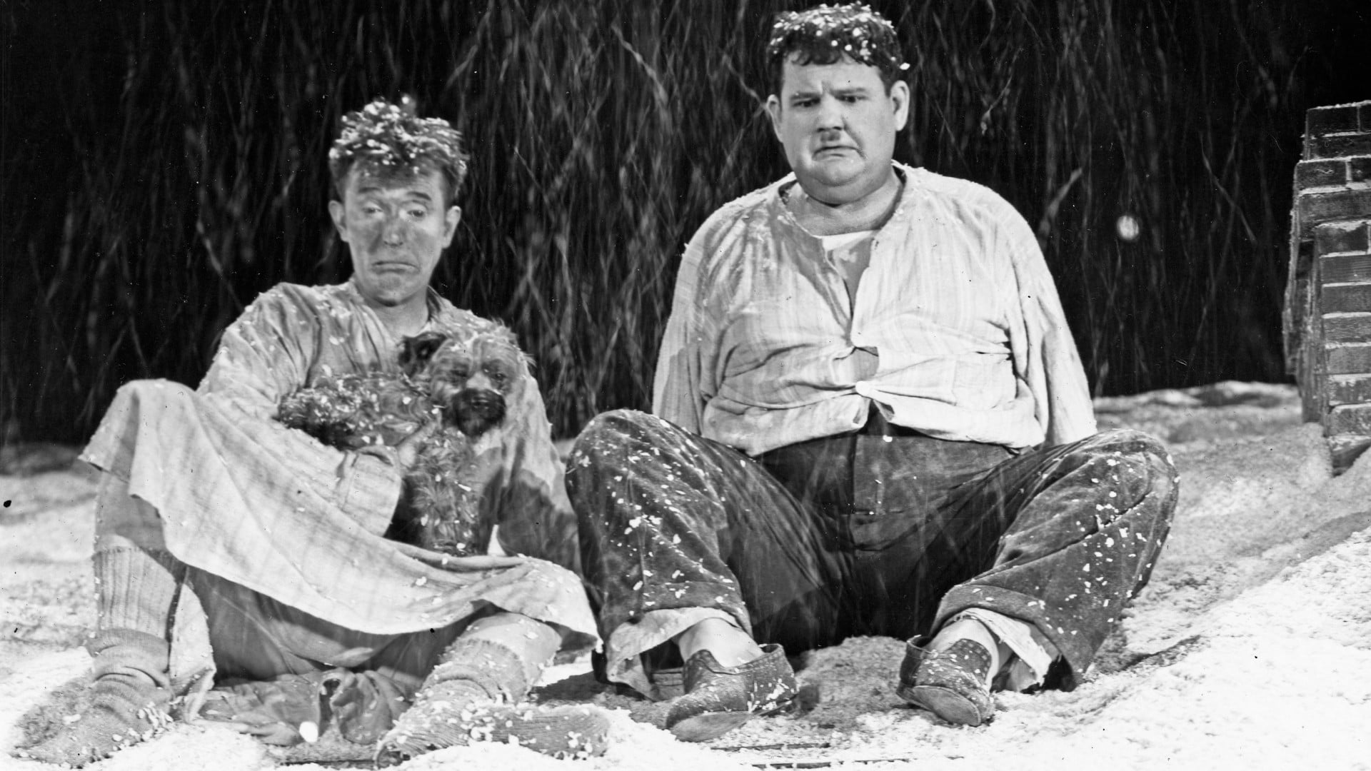 Foto do filme Laughing Gravy