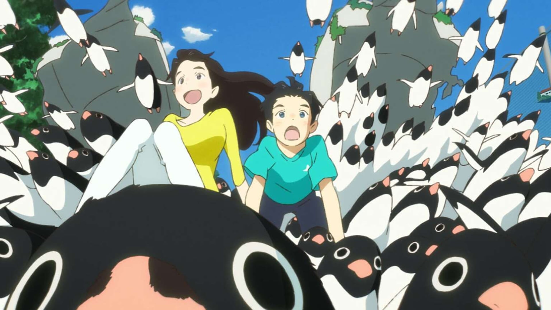 Foto do filme Penguin Highway