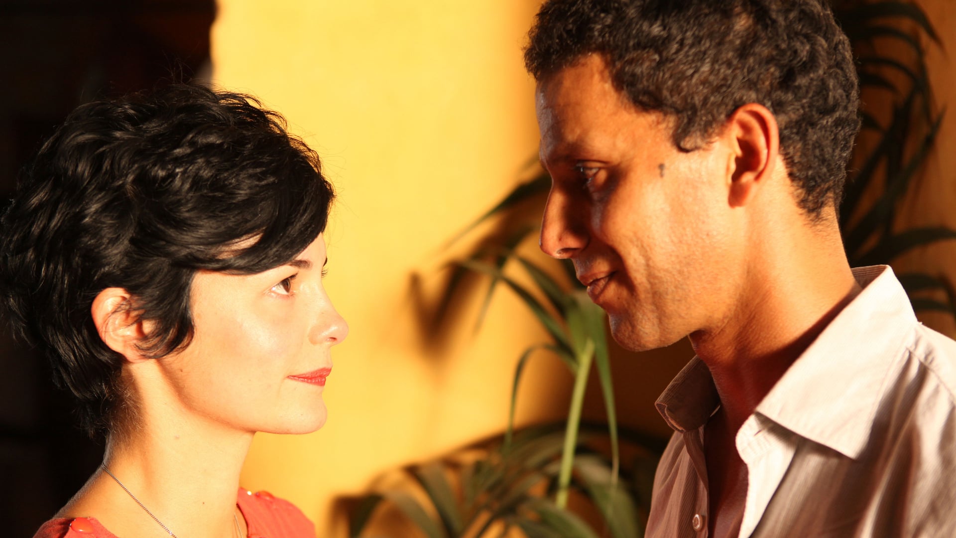 Foto do filme Uma Doce Mentira
