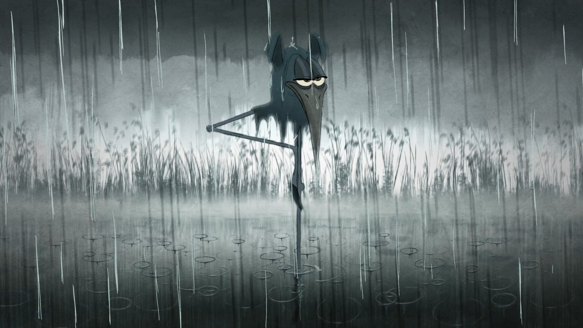 Foto do filme Bird Karma