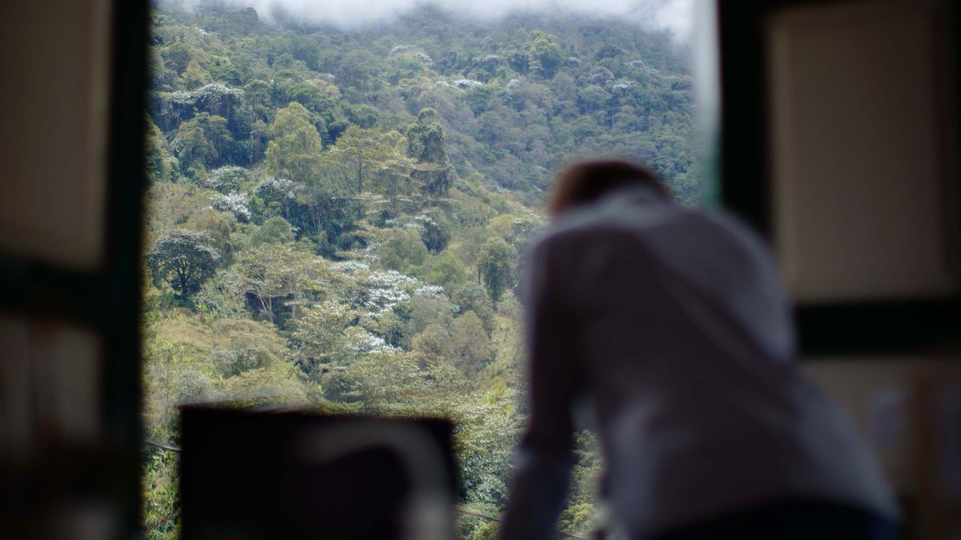 Foto do filme Memória
