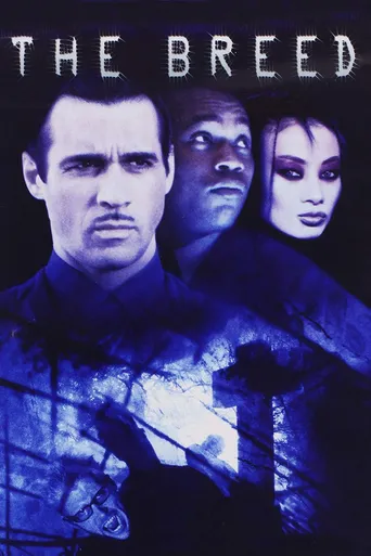 Cidade Dos Vampiros