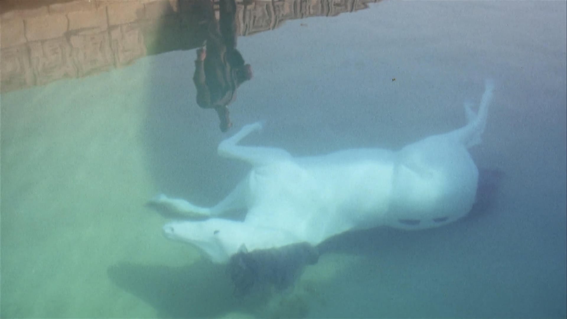 Foto do filme The Day of the Locust