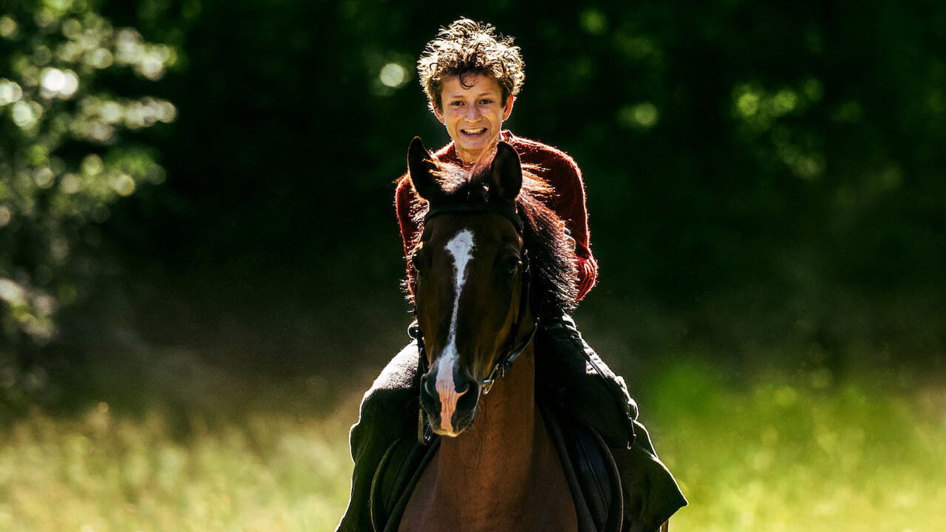 Foto do filme Cavalos Roubados