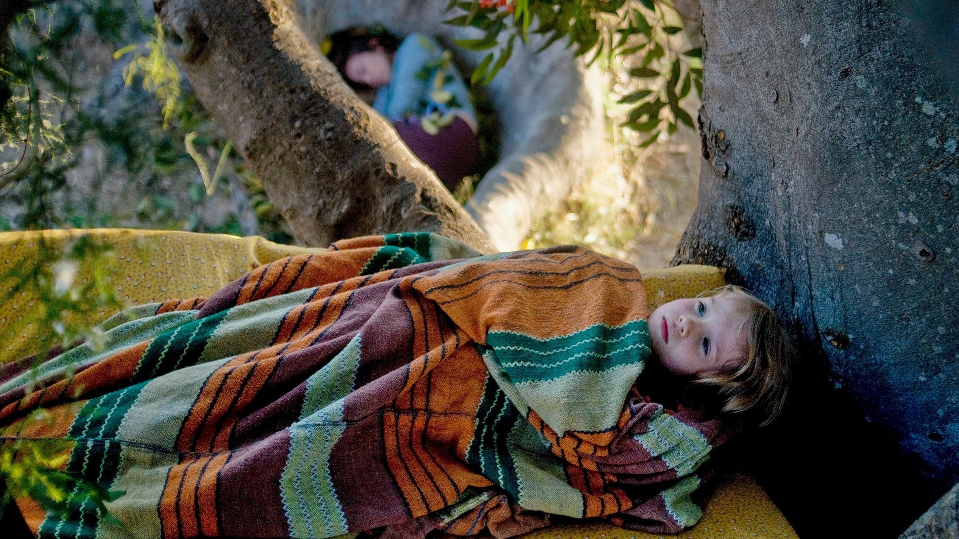 Foto do filme A Árvore