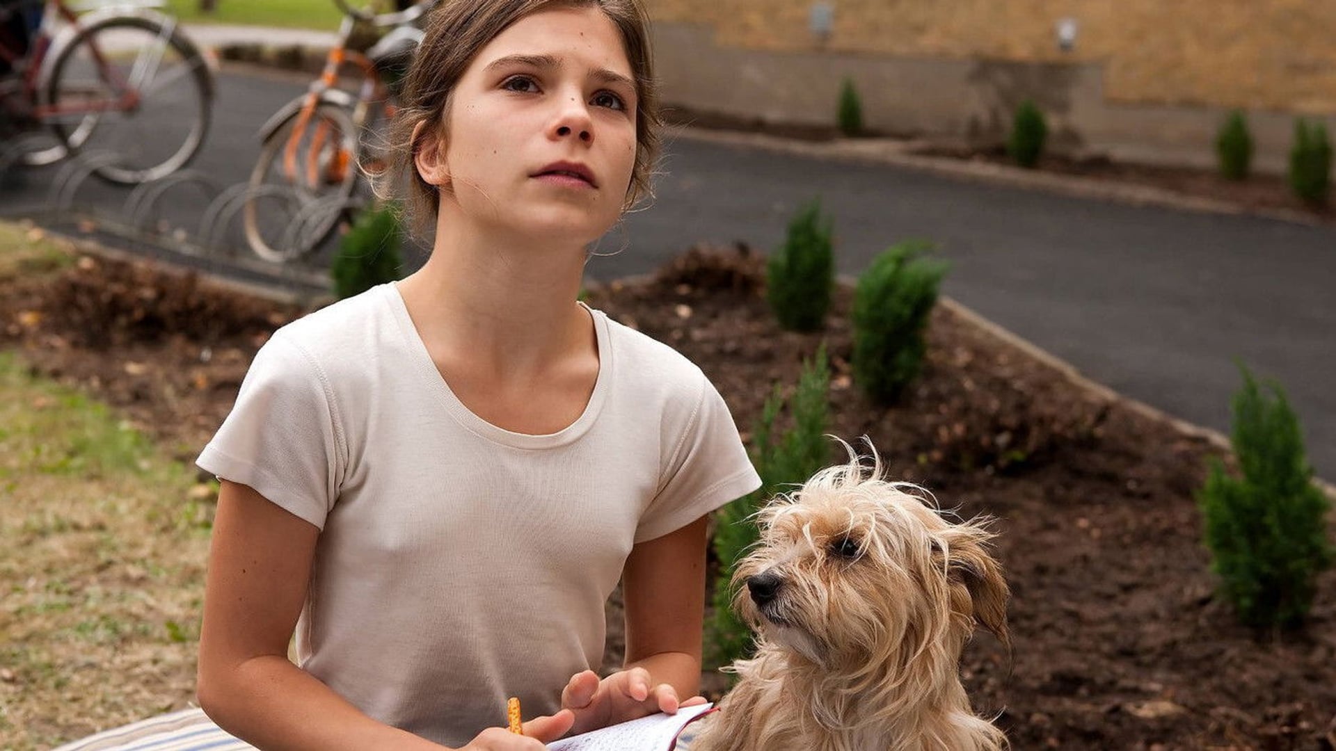 Foto do filme Svinalängorna