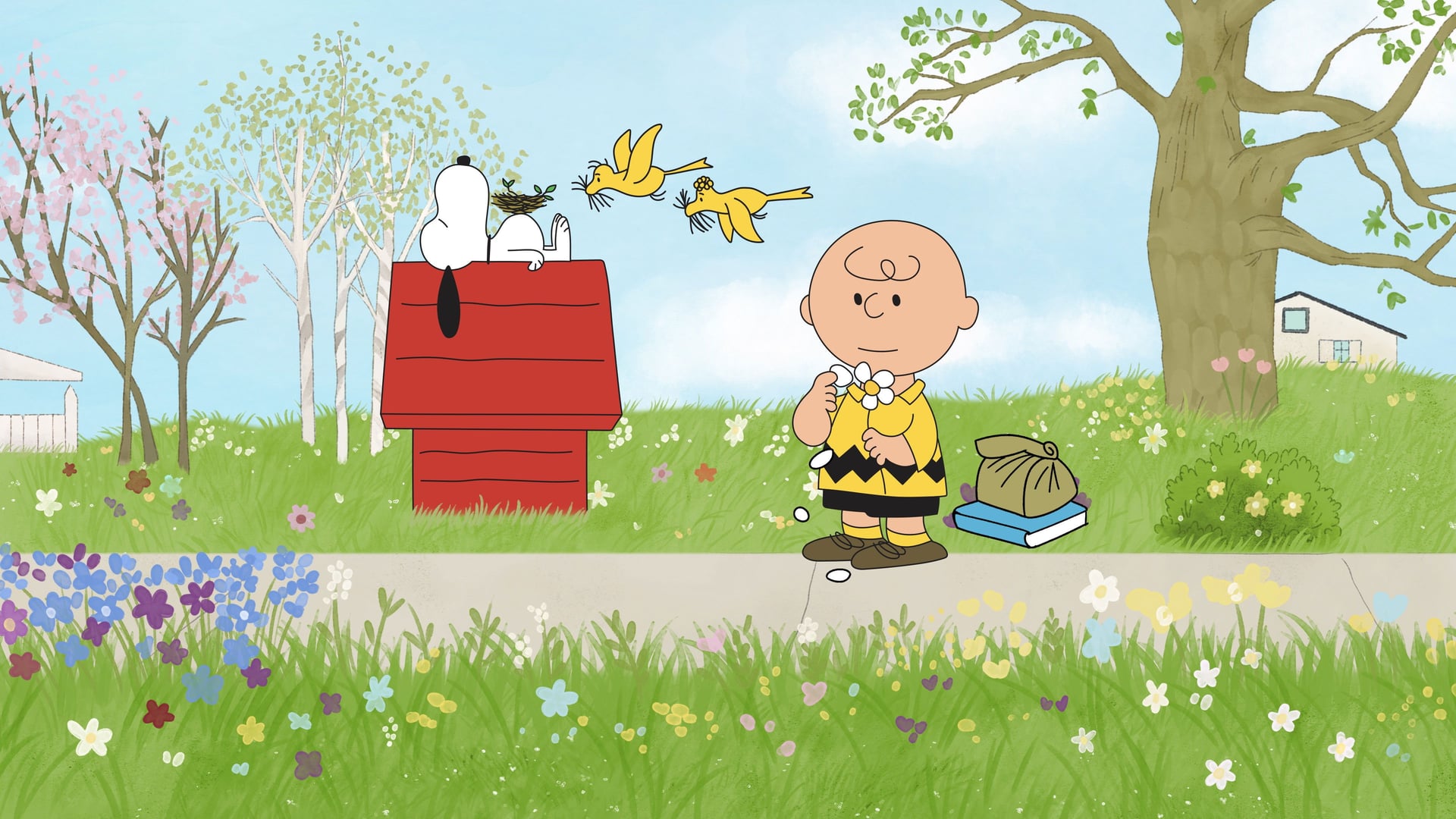 Foto do filme Você Está Apaixonado, Charlie Brown