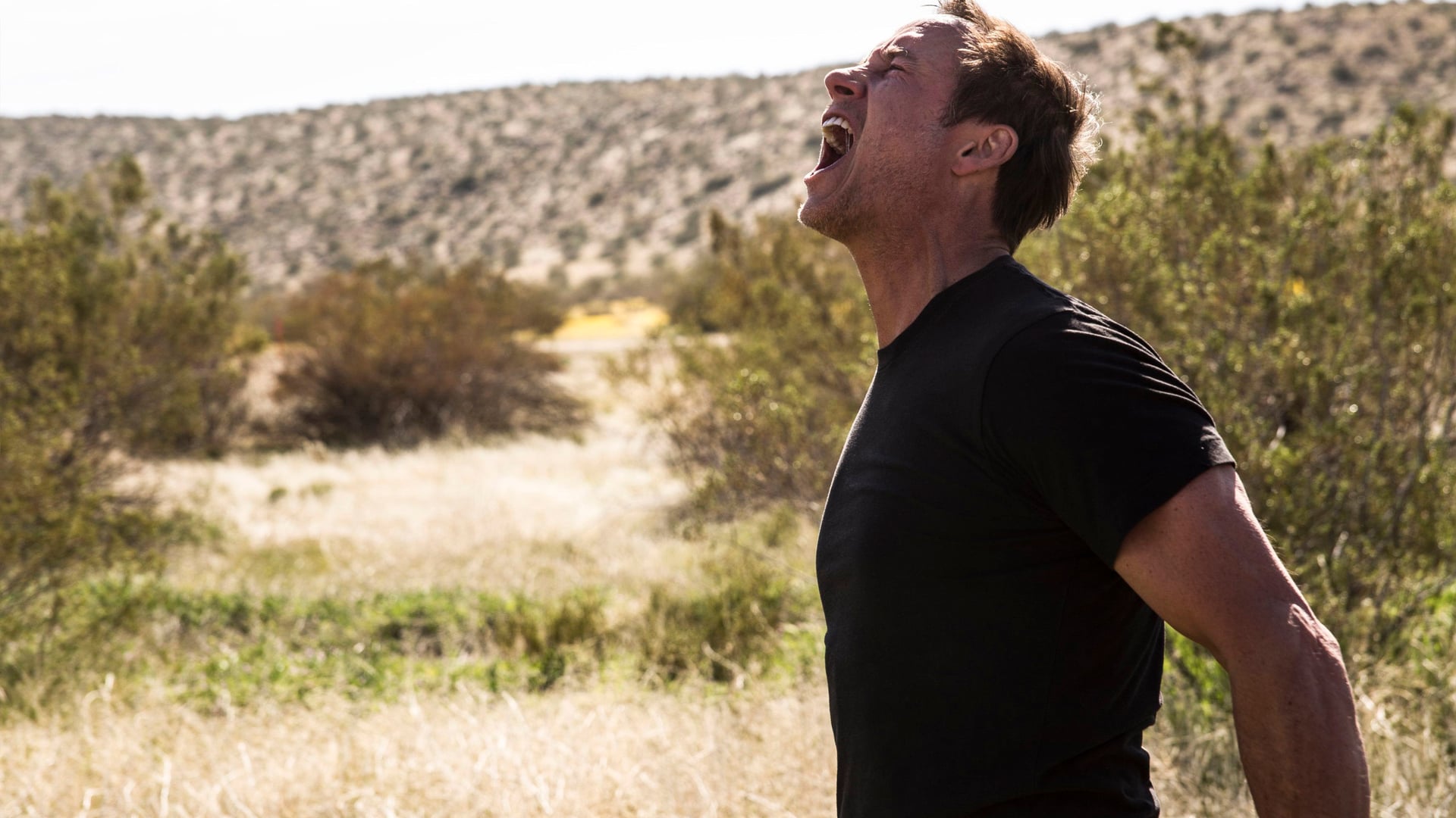 Foto do filme The Toybox