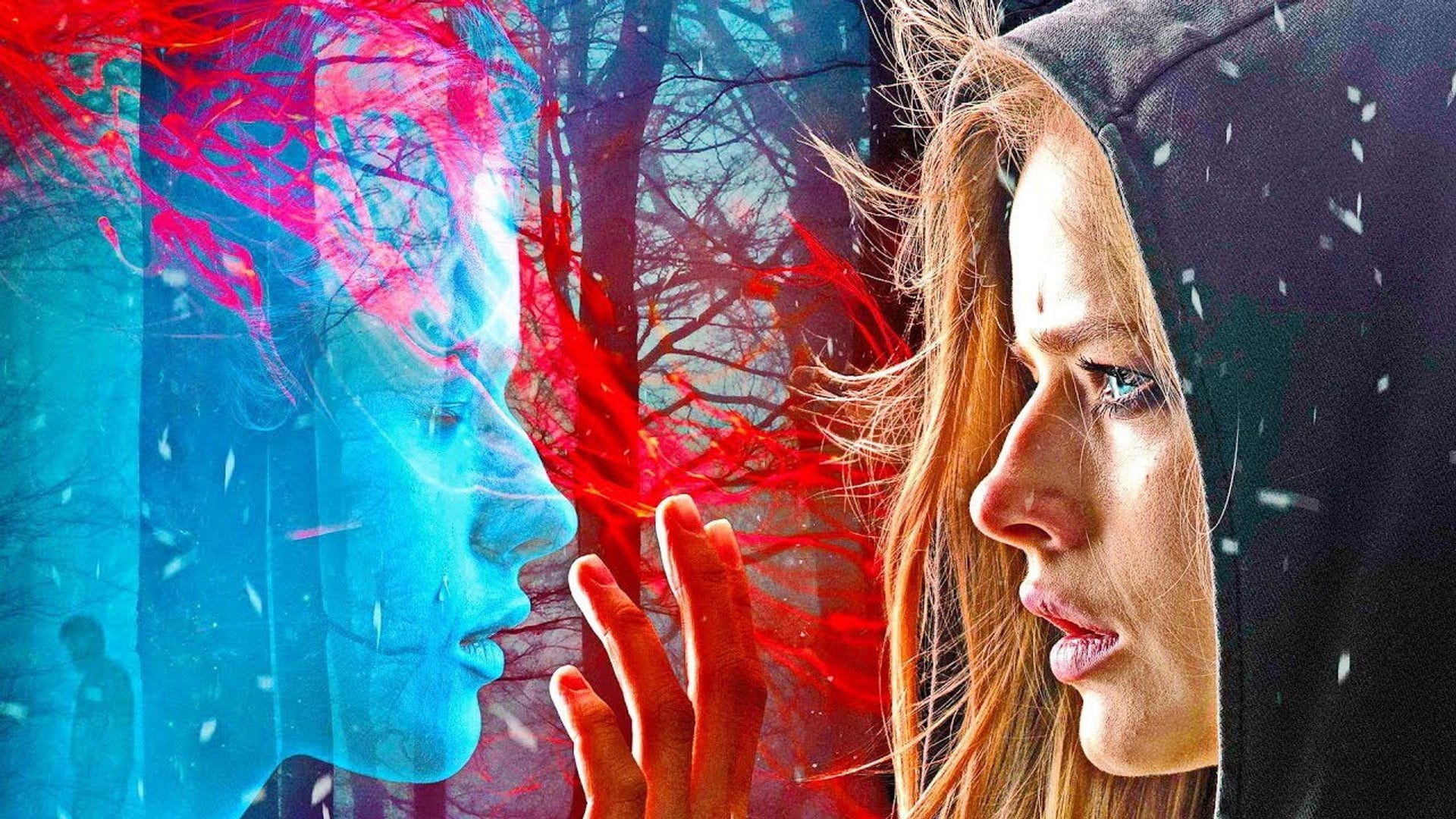 Foto do filme The Conductor