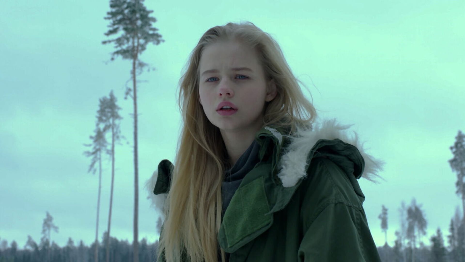 Foto do filme The Conductor