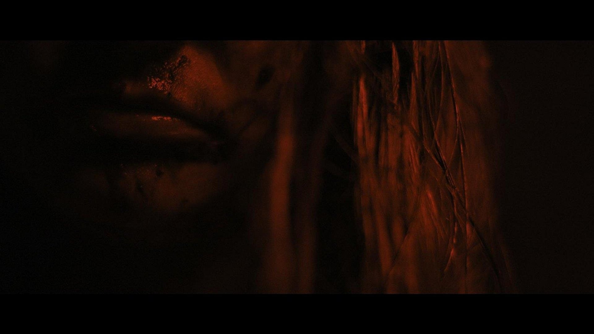 Foto do filme Jovens Canibais