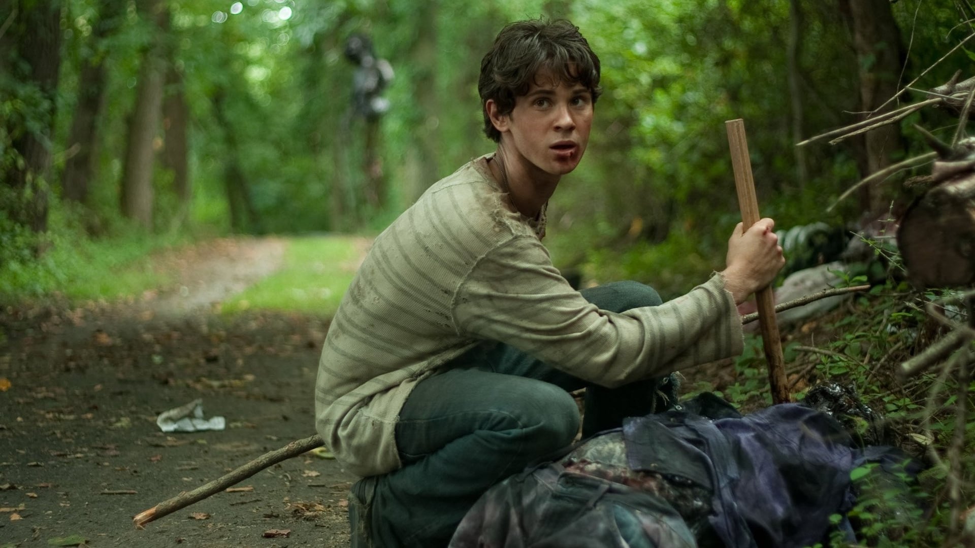 Foto do filme Stake Land - Anoitecer Violento