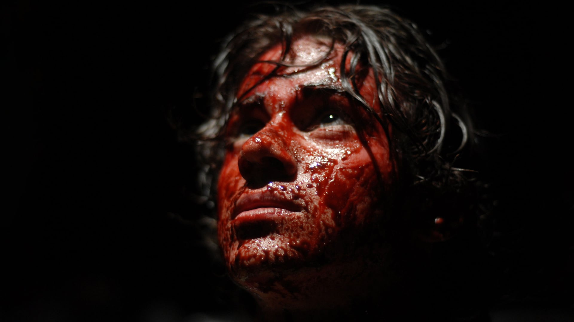 Foto do filme Stake Land - Anoitecer Violento