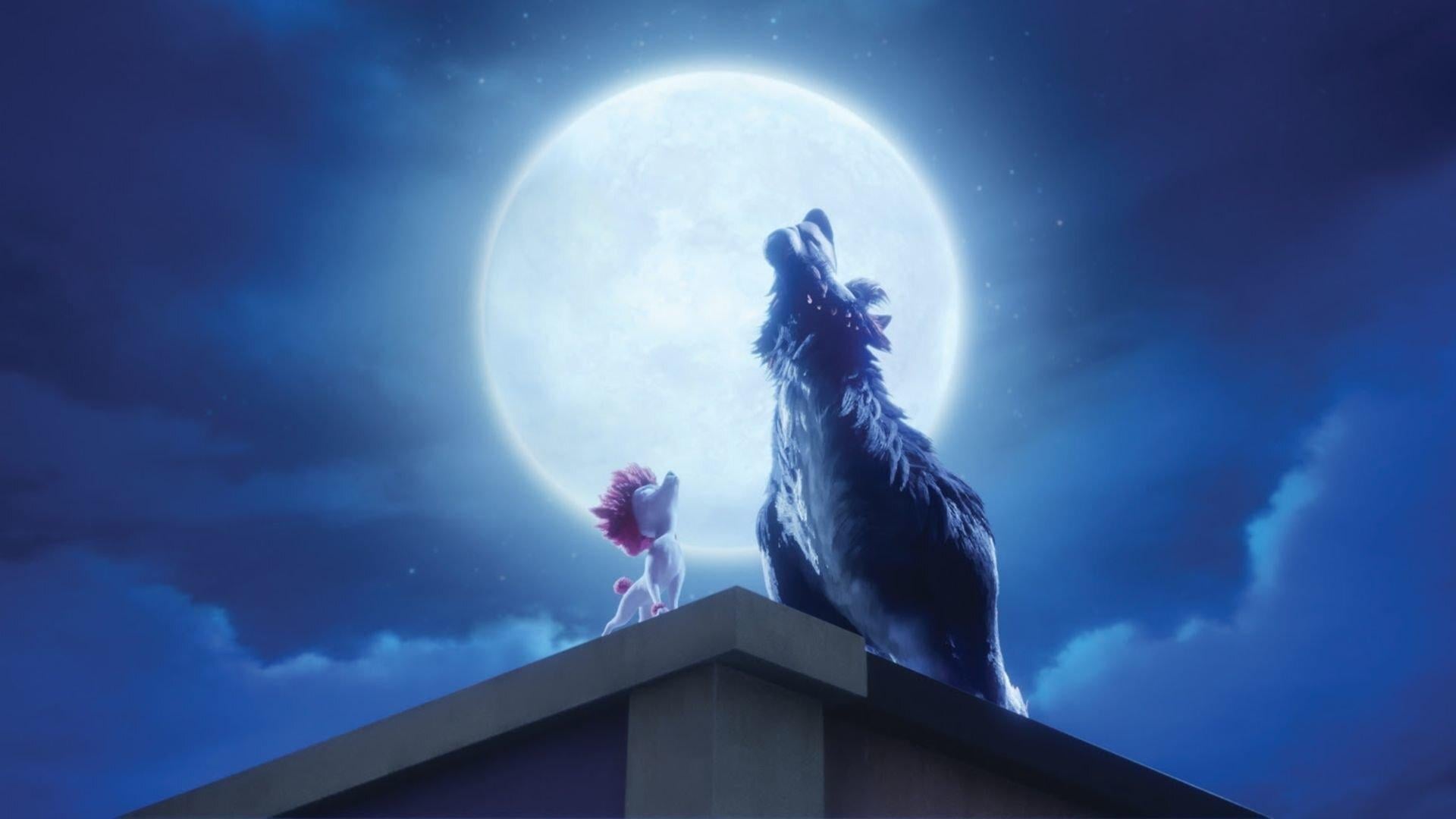 Foto do filme 100% Lobo