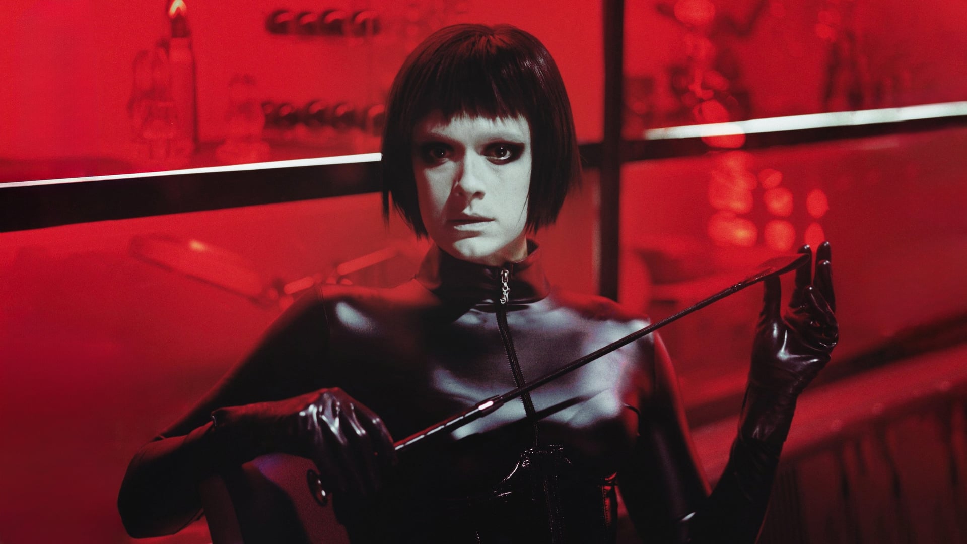 Foto do filme Dogs Don't Wear Pants