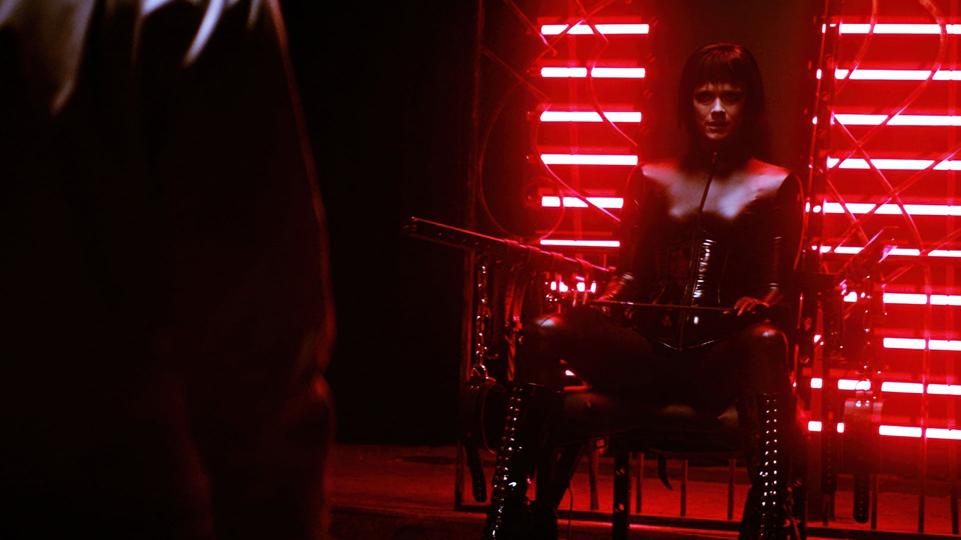 Foto do filme Dogs Don't Wear Pants