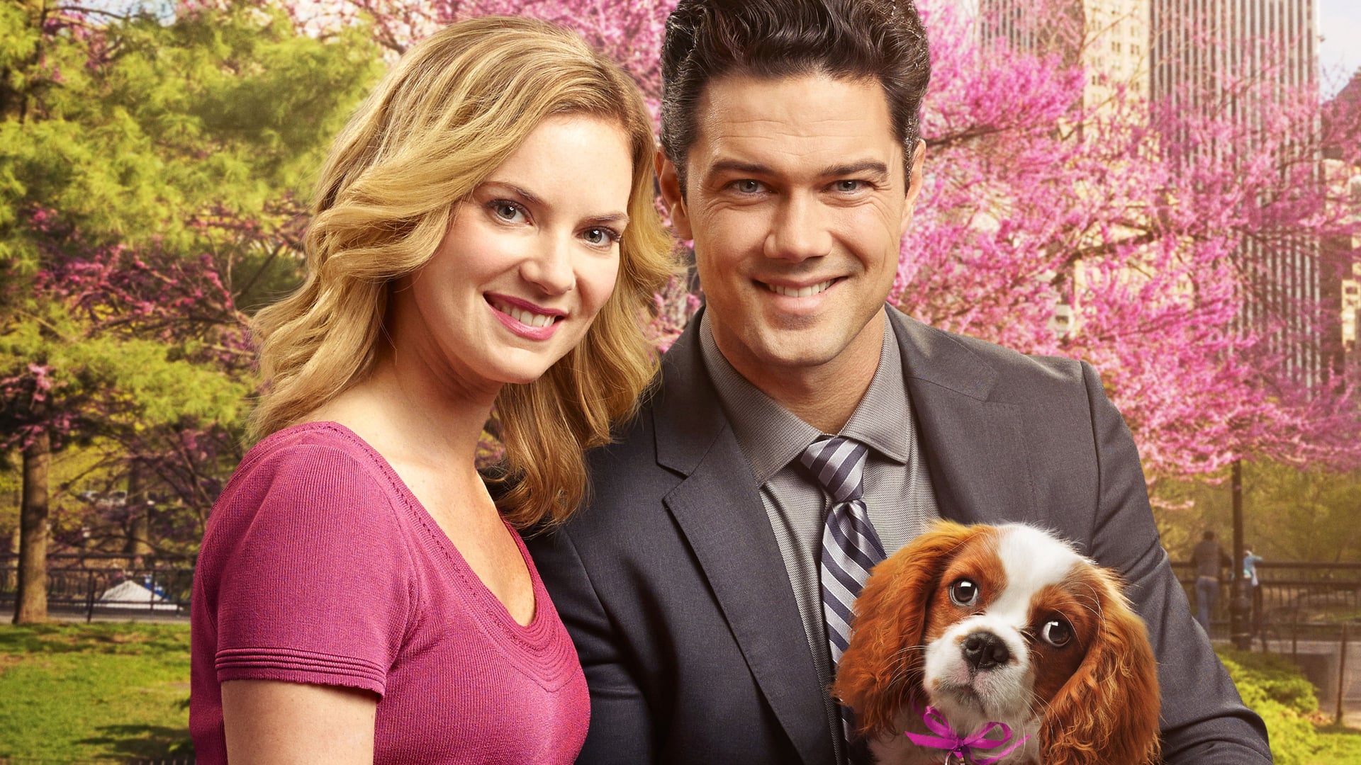 Foto do filme Casando com Sr. Darcy