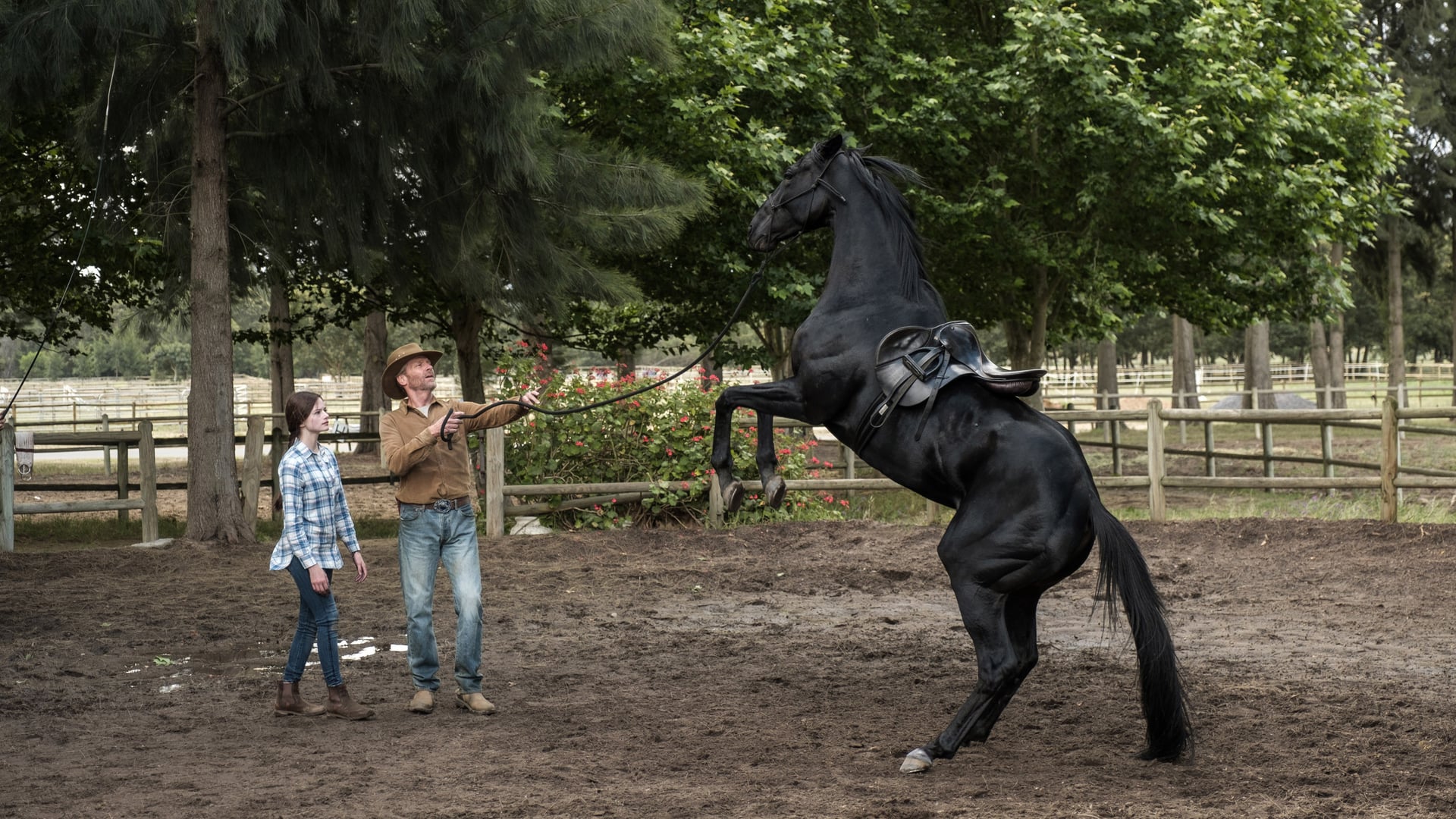 Foto do filme Beleza Negra: Uma Amizade Verdadeira