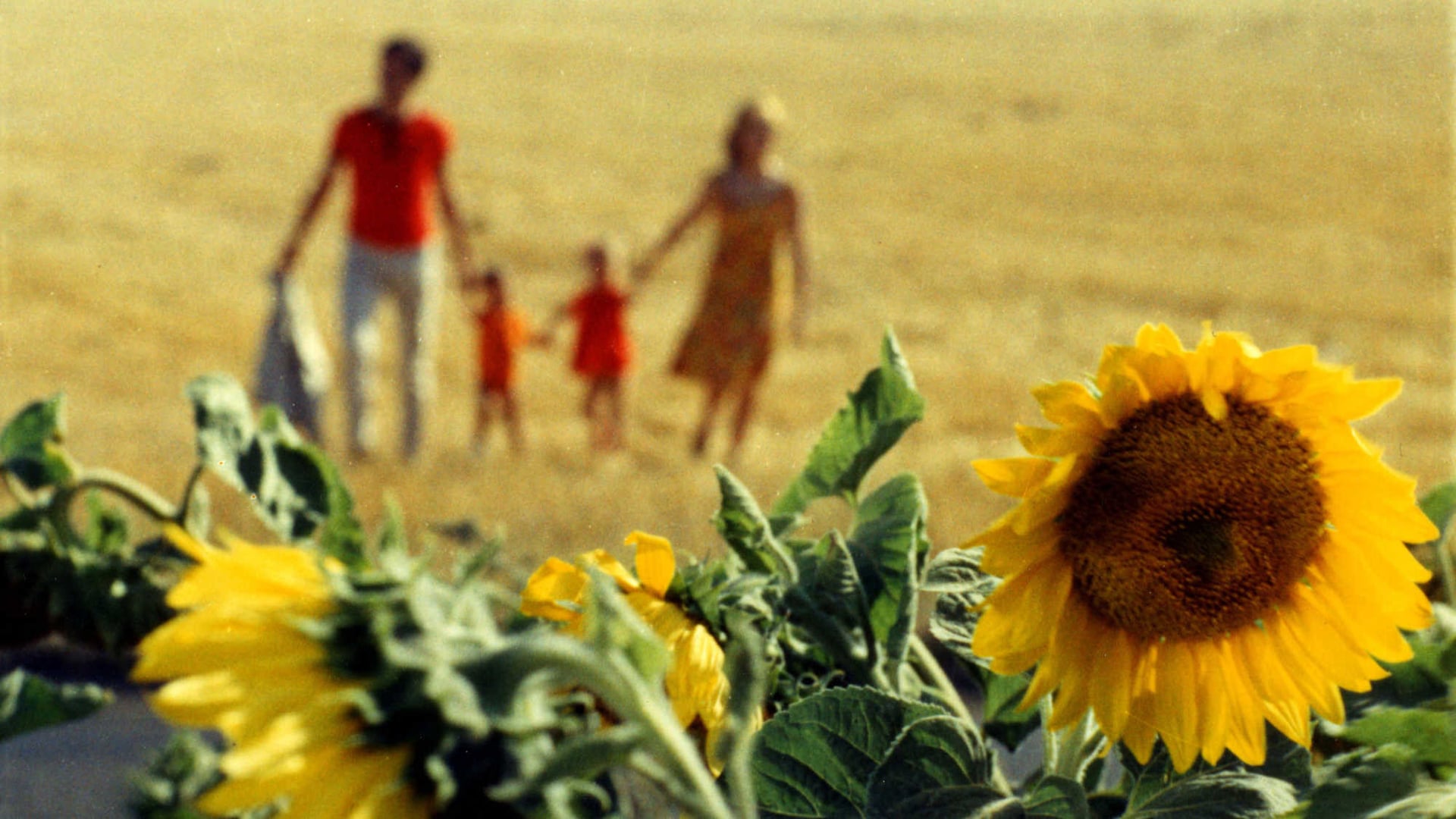 Foto do filme As Duas Faces da Felicidade