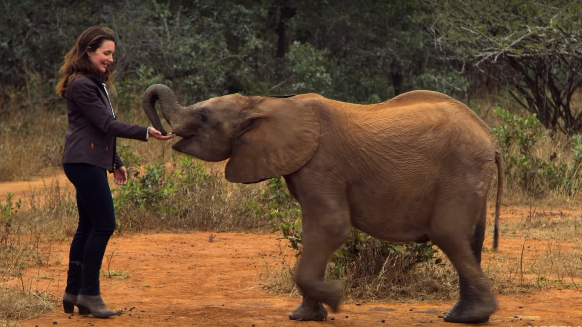 Foto do filme Resgate do Coração