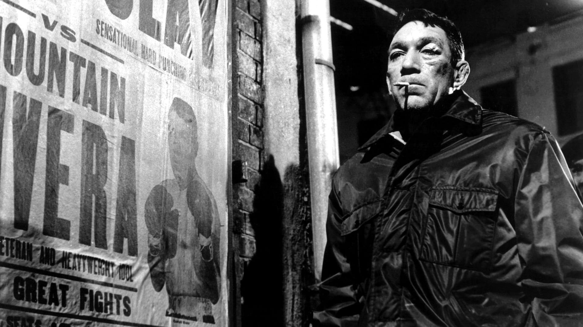 Foto do filme Réquiem por um Lutador