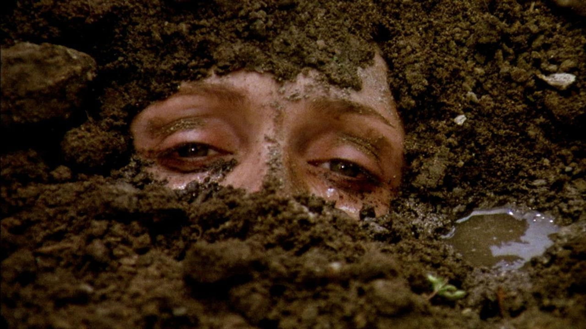 Foto do filme Teorema