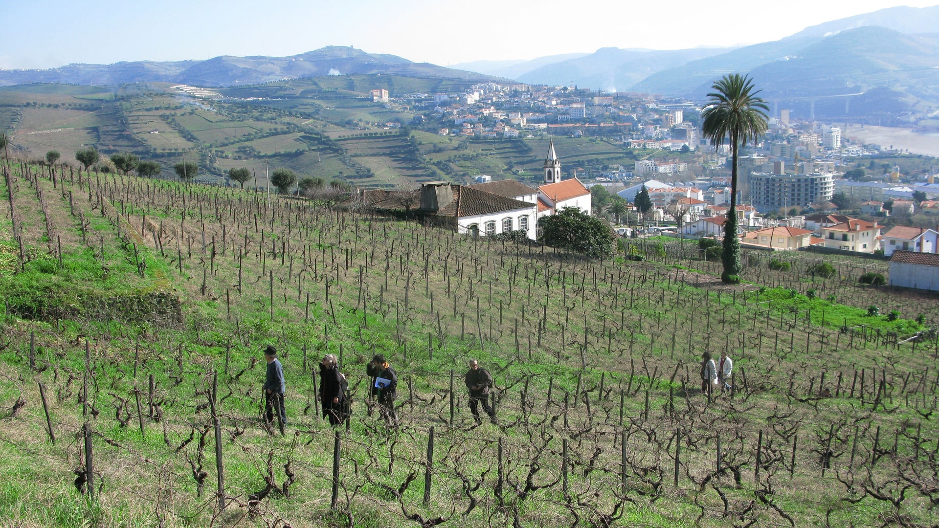 Foto do filme O Estranho Caso de Angélica