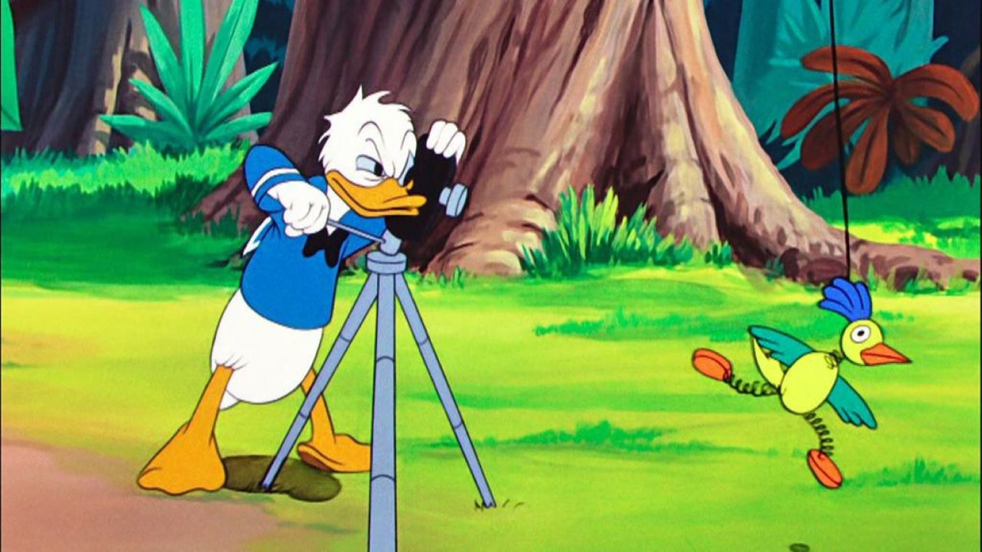 Foto do filme Clown of the Jungle