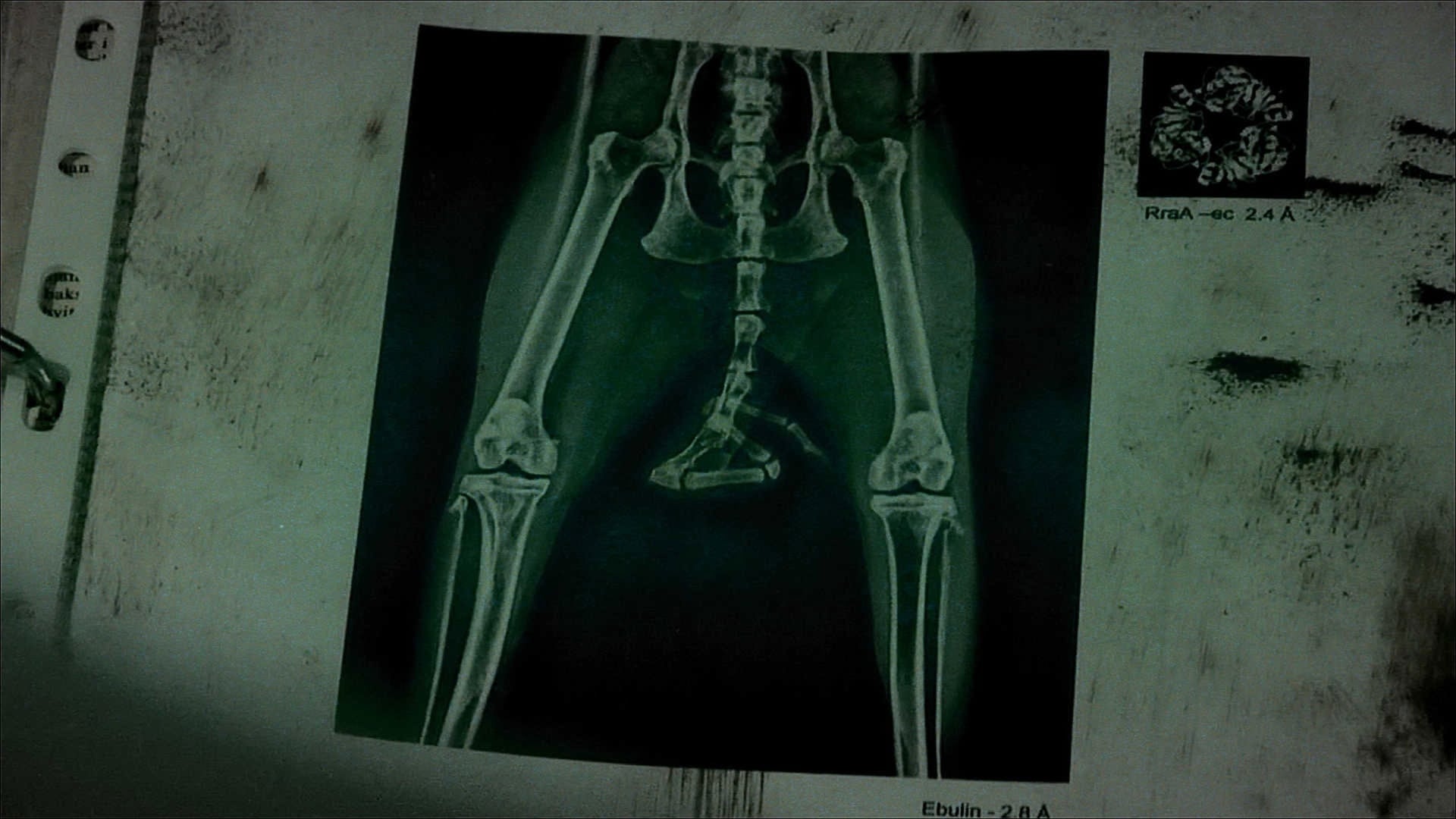 Foto do filme Segredo Sombrio