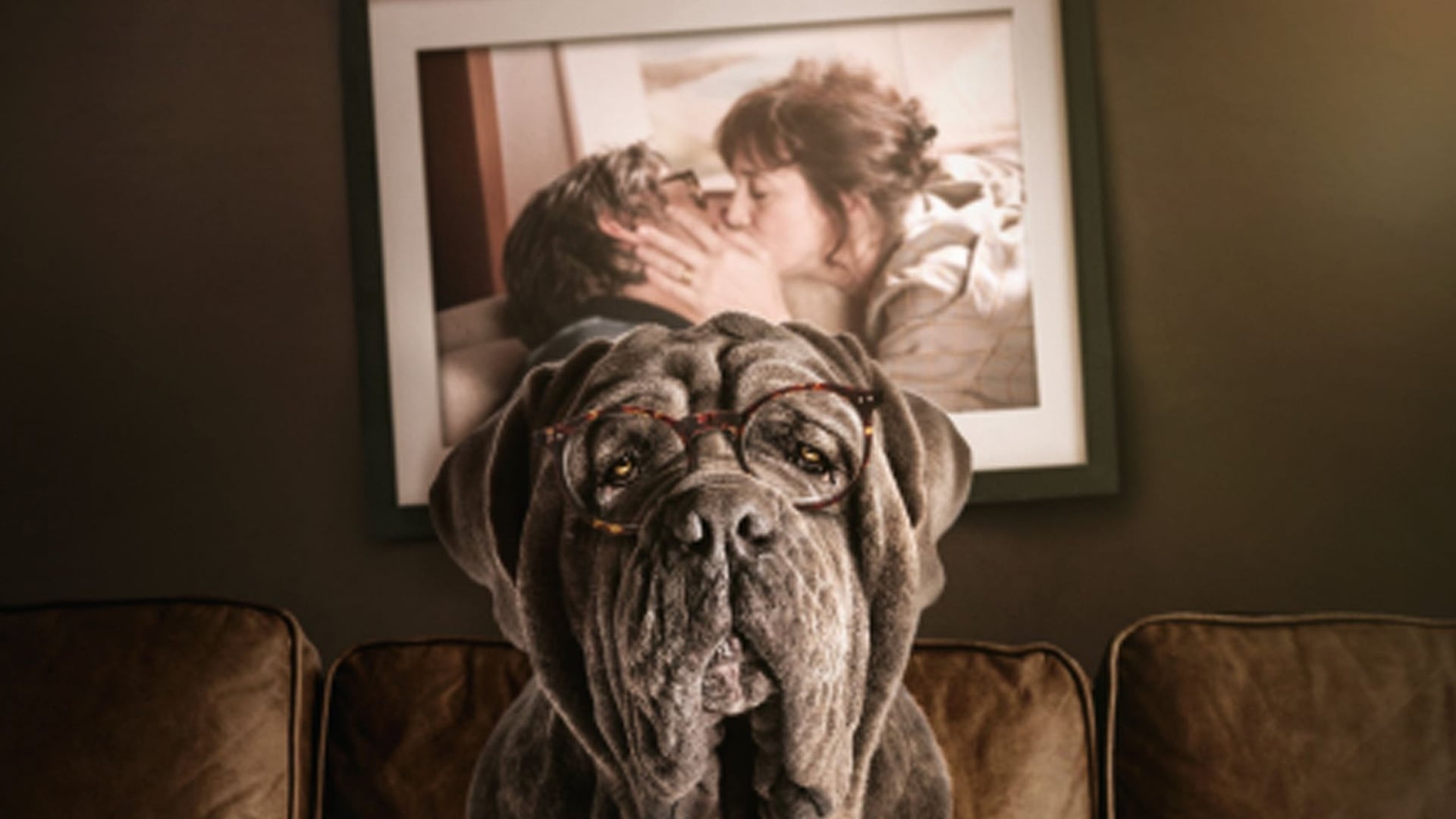 Foto do filme Meu Cachorro e Eu