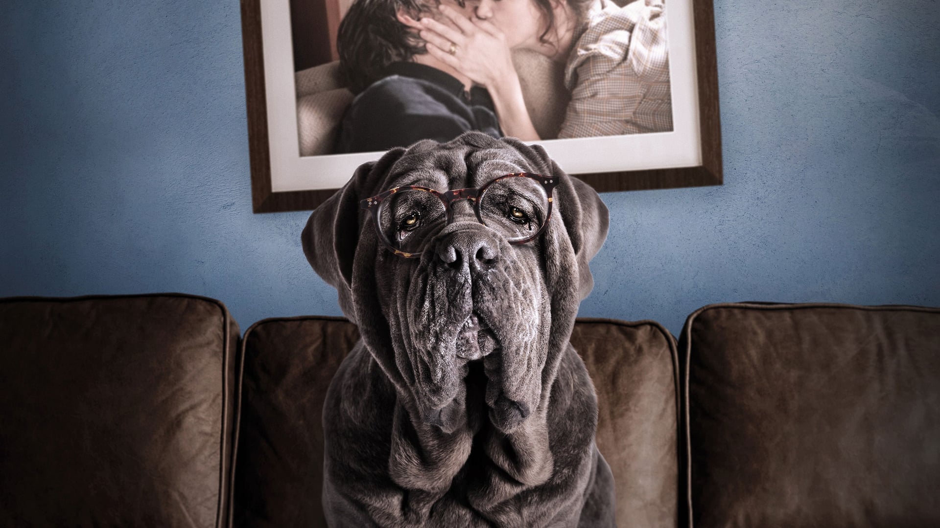 Foto do filme Meu Cachorro e Eu