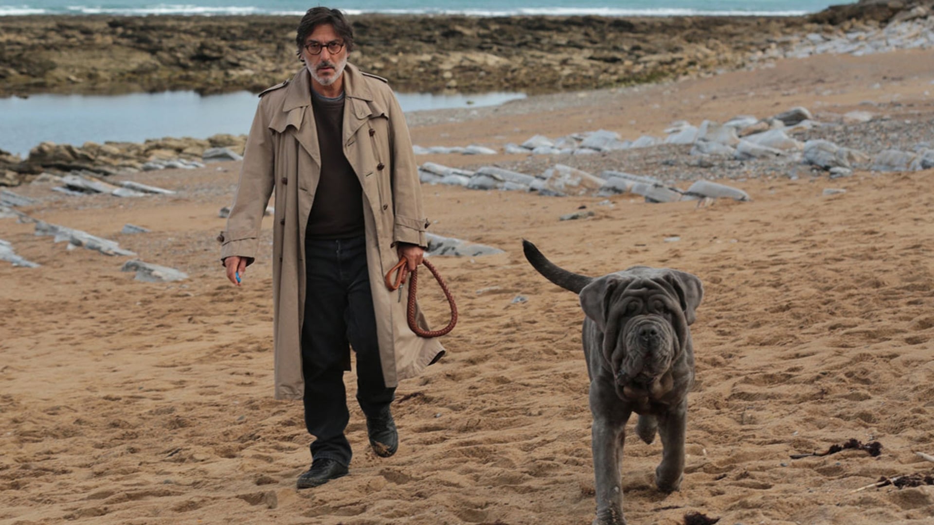 Foto do filme Meu Cachorro e Eu