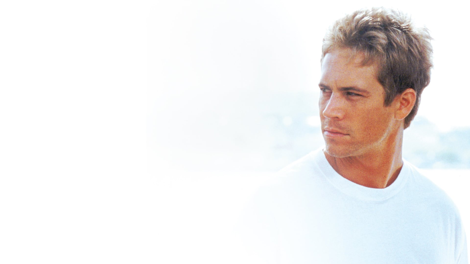 Foto do filme Meu Nome é Paul Walker
