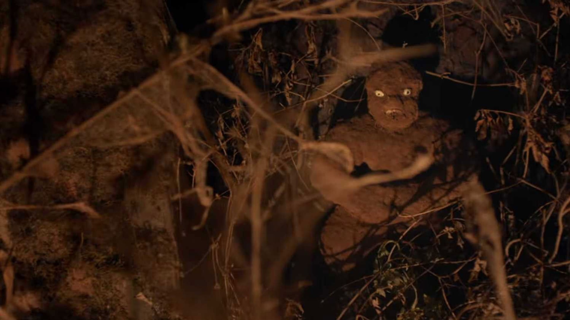 Foto do filme Tumbbad
