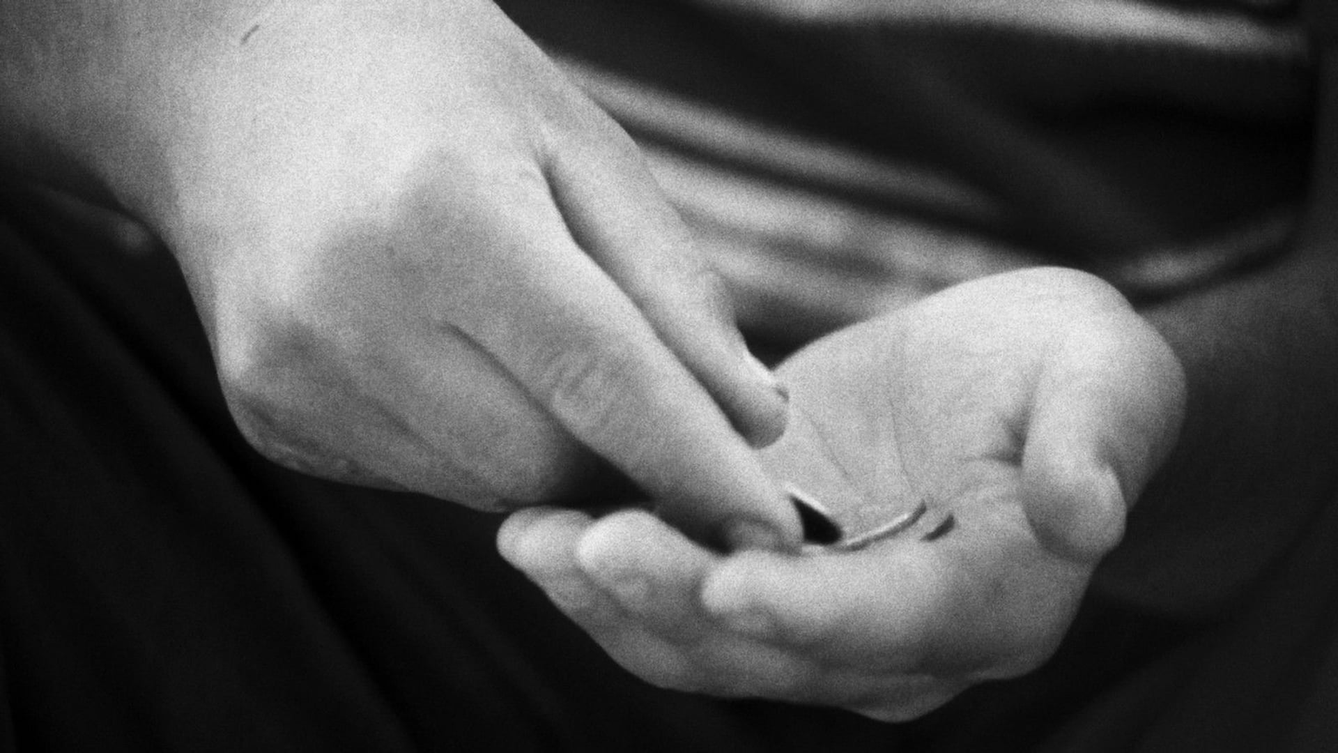 Foto do filme The Traveler