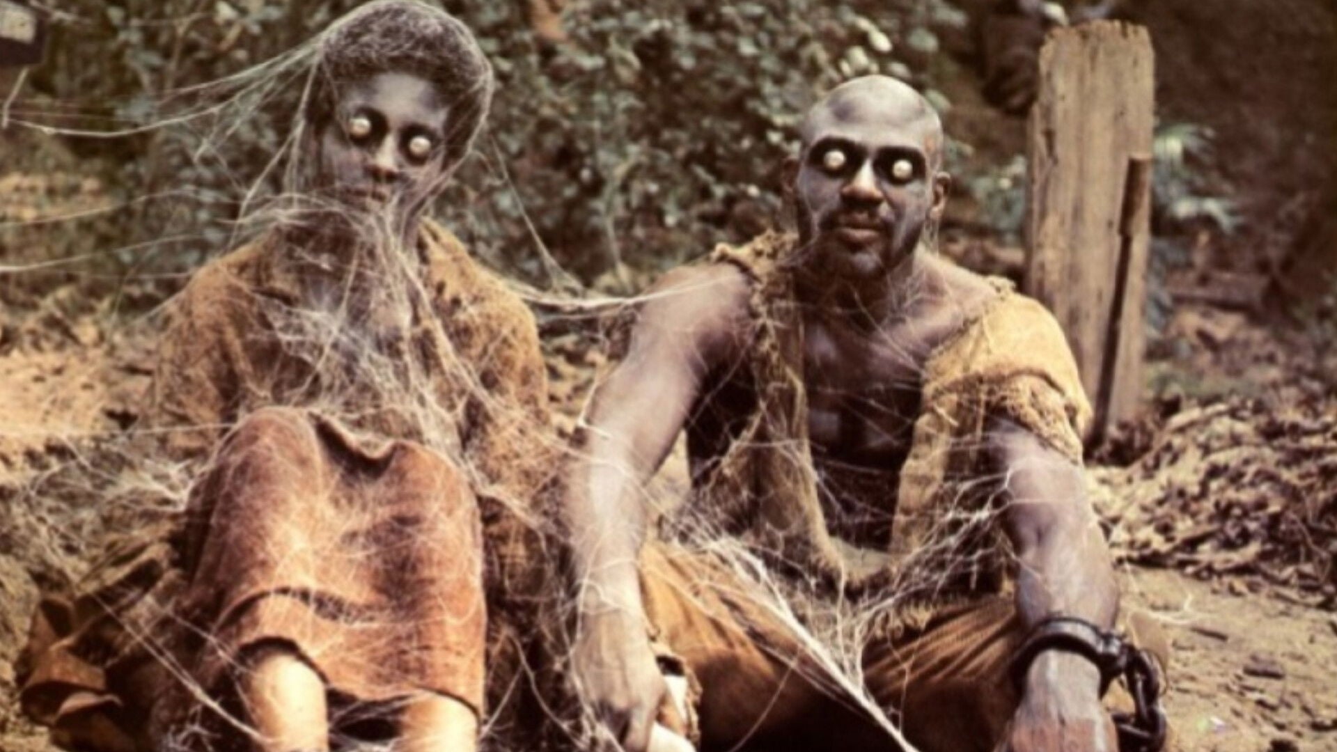 Foto do filme A Vingança dos Mortos