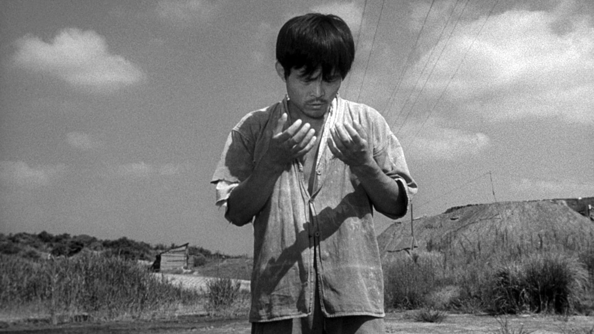 Foto do filme Arapuca