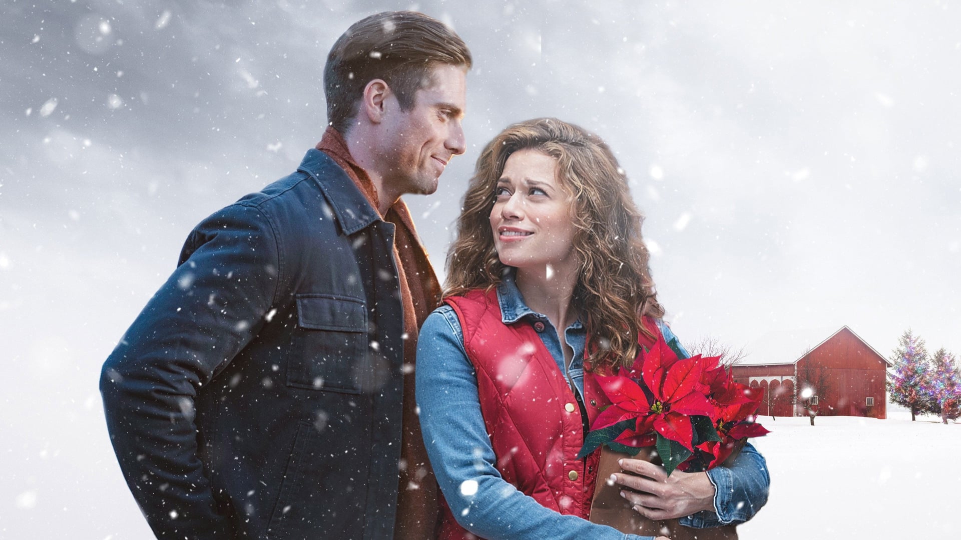 Foto do filme Flores de Natal