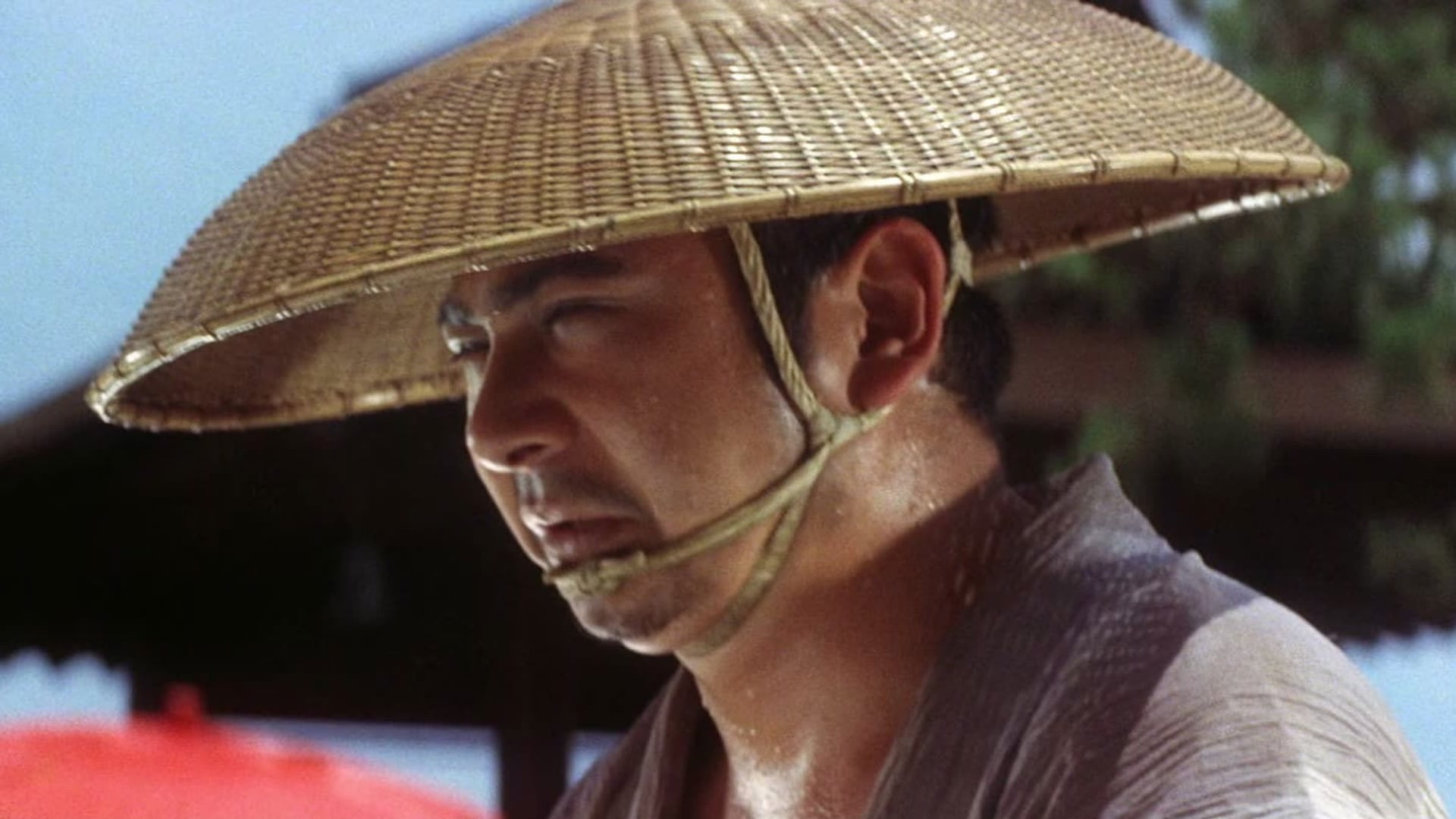 Foto do filme A Peregrinação de Zatoichi