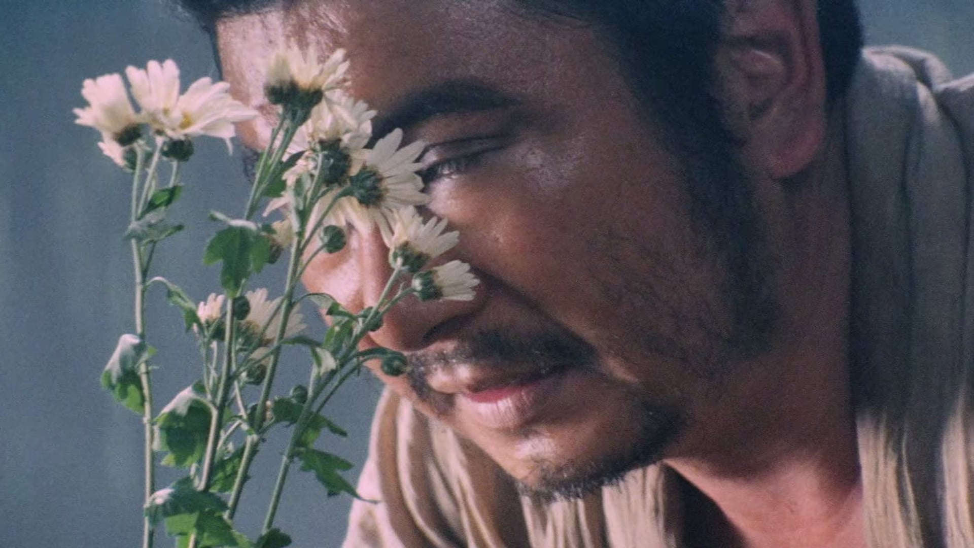 Foto do filme Zatoichi vai ao Festival do Fogo