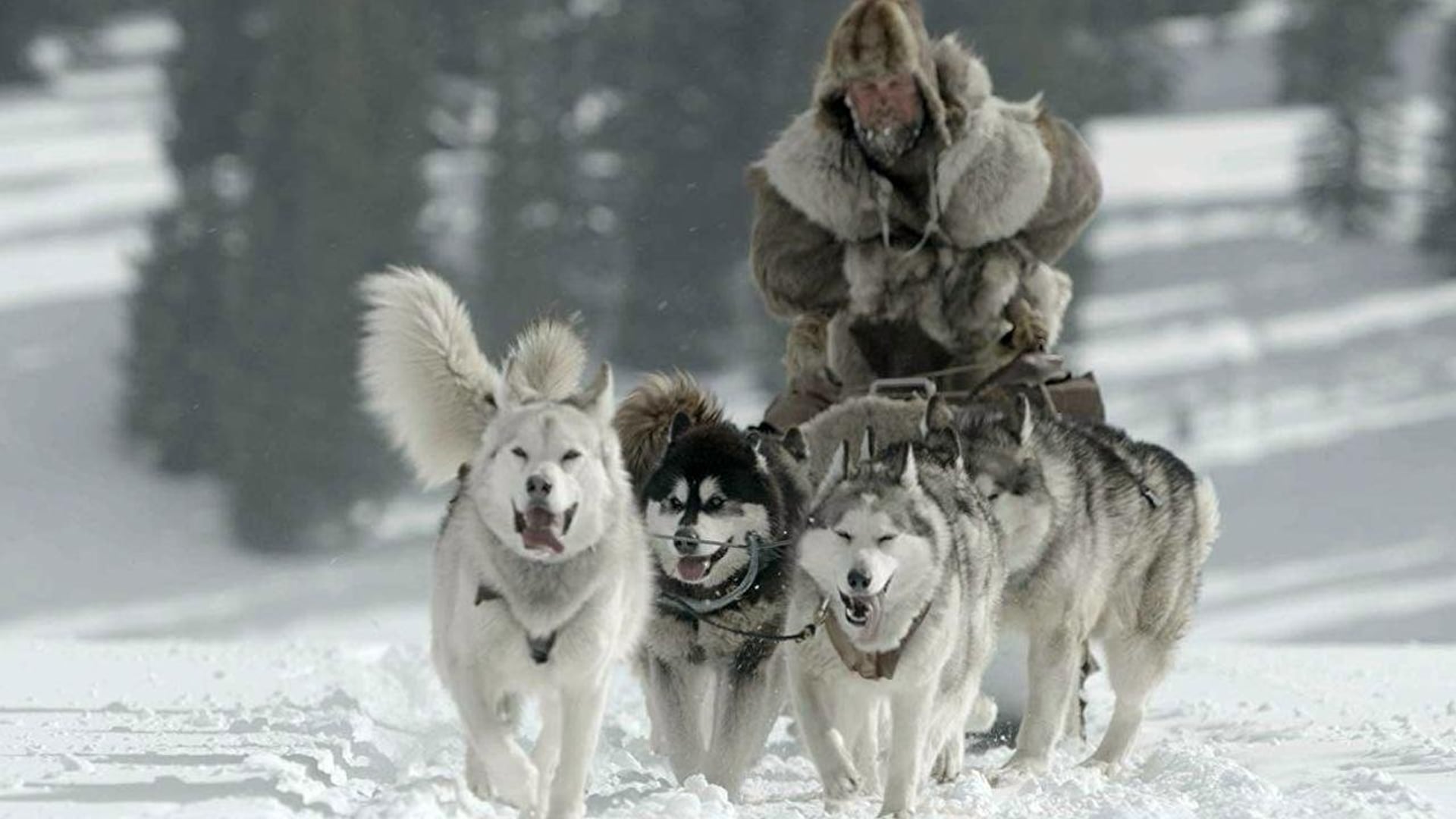 Foto do filme The Great Alaskan Race